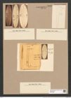 Dimerogramma marinum (Greg.) Ralfs. (de-Toni-Nr.: Genus 80, Species 2880) Zeichnungen Sammlung Grunow Nr. 5848 (NHMW-BOT-W0374283)